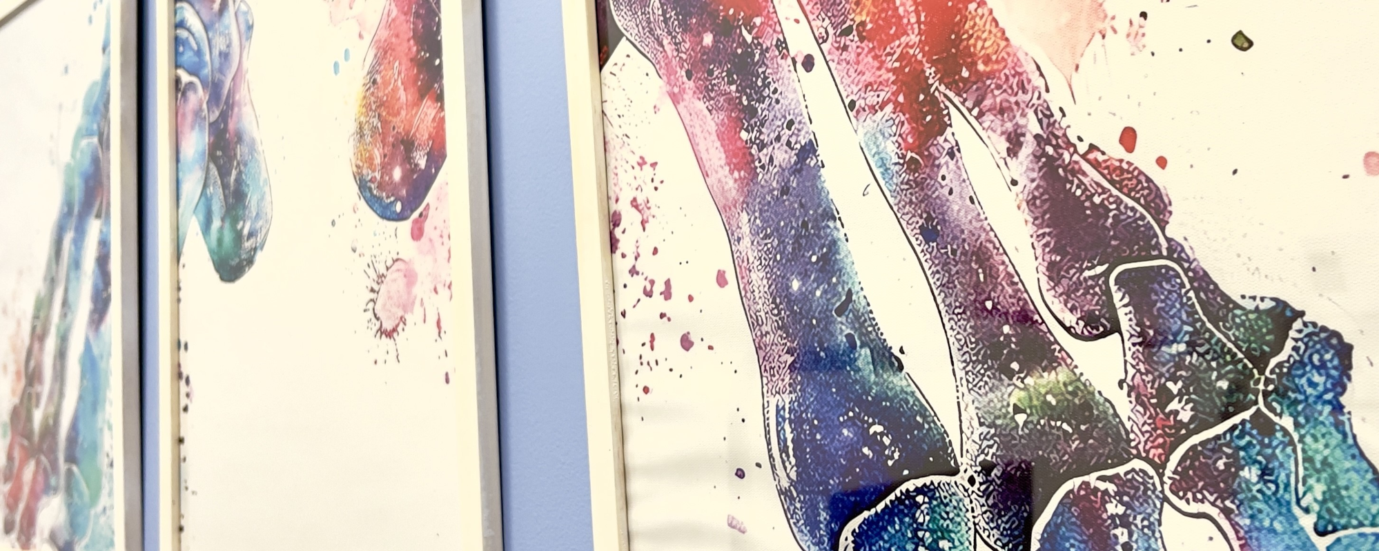 Podologia Integral <span>Ronda Norte</span>